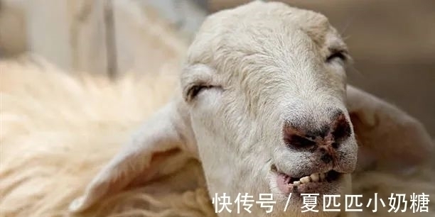 财运|2021下半年,走大运,意外财运天降,将更上一层楼的3个生肖