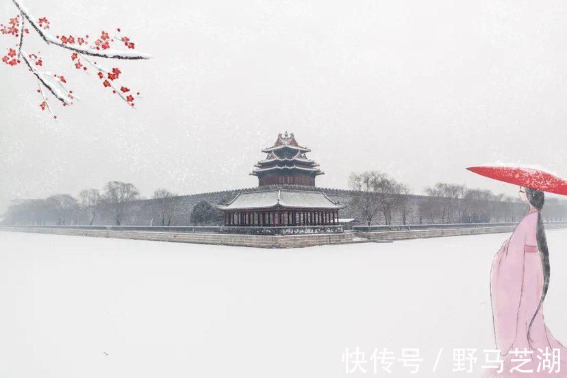 人生|也许当我们老去,才能读懂李清照这首词,一字一句皆是人生