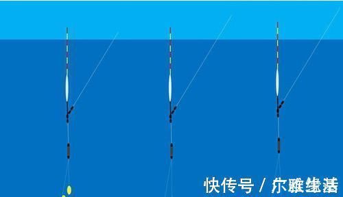 线组|钓鱼人的必修课:钓鱼调漂,何时最灵?何时最钝?