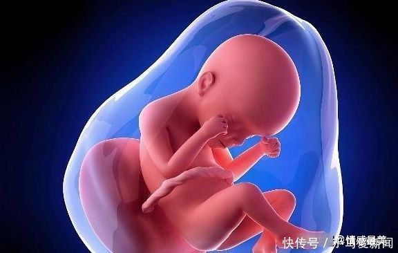 怀孕|怀孕后,胎动总在右侧和“胎儿性别”有关吗?或许你该了解这几点