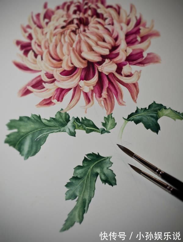 花卉#一位全职妈妈喜欢疯狂画画,教你画水彩花卉