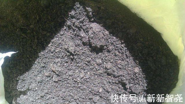 羊粪养花好？3个害处不知道，越养越心烦，还很容易养死