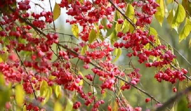 做人,不可好高骛远,更不可小看自己