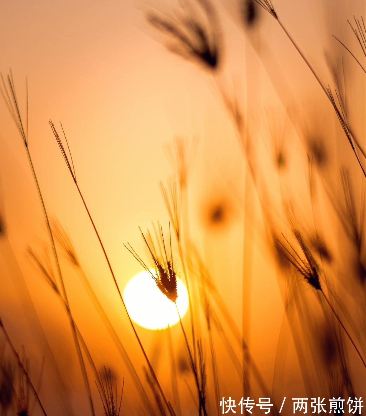 对联!11句流传很广的经典谚语,句句关乎为人处世,读来增长阅历