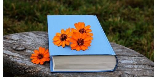 保底合同|是否享有影片版权对保底合同性质的认定能产生何种影响？