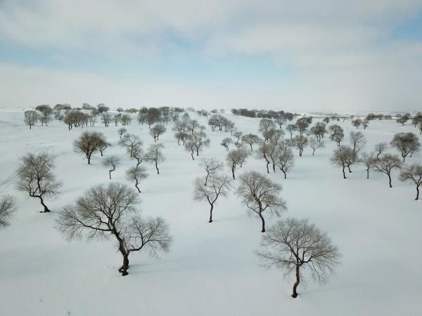 总有一场风雪，为你而来