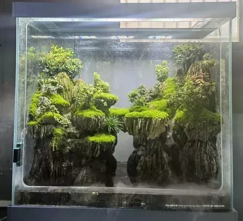 宠物水族博览会|专业水族景观，水舞天下携新品登陆第二届中部（郑州）宠物水族博览会