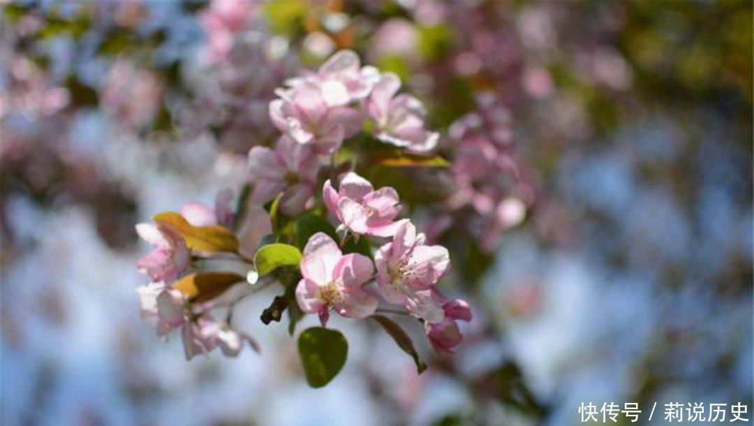 落魄|晚唐落魄才子吴融,一生命运多舛,写下的这首《卖花翁》句句伤感