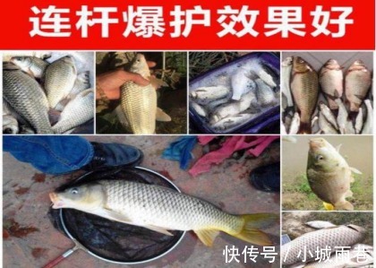 热天钓鱼开饵时用上这5招，不是跟你吹，大鱼看见就狂咬，半天就爆护！