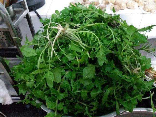 这种野菜农村到处都是,用它包饺子比肉馅好吃,好吃得停不下来