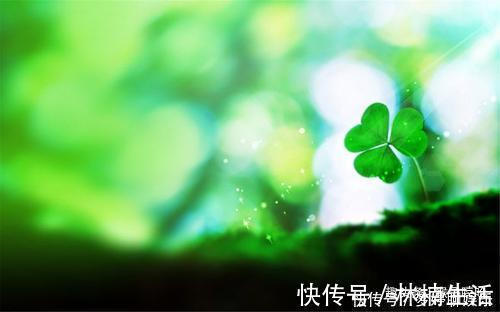 智商|出生在几点钟的孩子,智商高,长大后孝顺又有出息,光宗耀祖