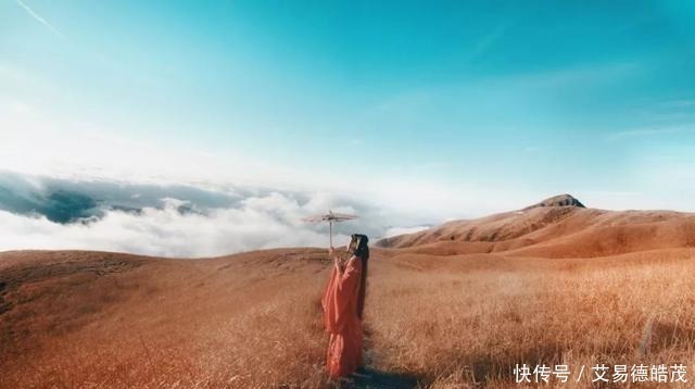 王阳明&学会一个“藏”字,进可显赫闻达,退可修心保身