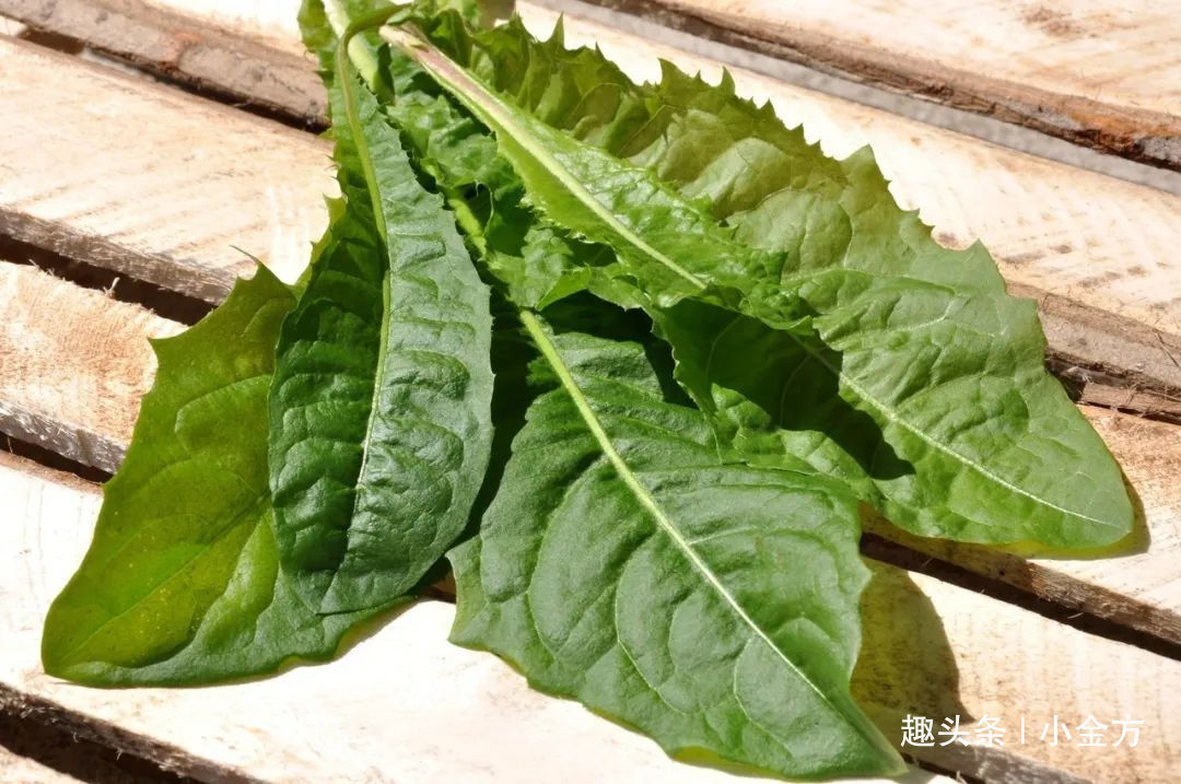 菊花|养肝护肝，这4样泡水不比枸杞差！每天一杯，肝会越来越好