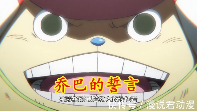 大护法|海贼王1006集:冰鬼惹怒乔巴,小菊火刀烫断臂,凯多变回人形