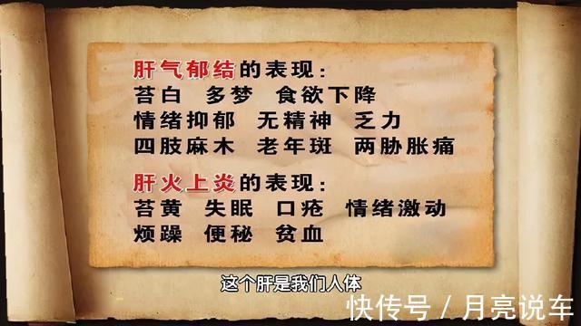脾胃论|身边的“天然解毒王”!每天吃一点,健脾祛湿、给肝脏洗洗澡