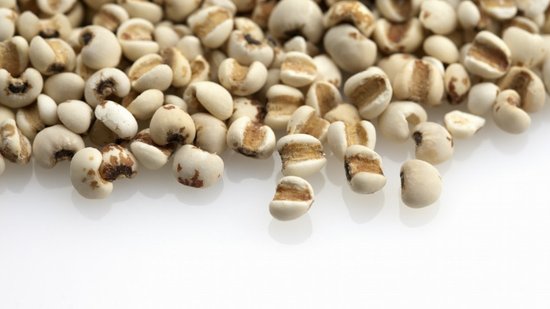 排除体内湿气祛湿良药 ，健康由你掌握―药食同源之薏米（第六期&