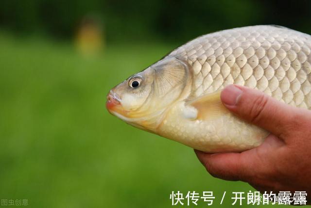 酒米的3个骗局,多数钓鱼人都中招了,第3个被骗的人最多!