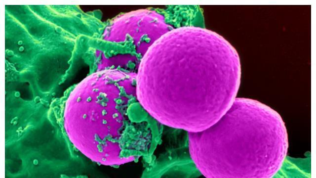 癌症|只有3%机会存活！肿瘤医院院长患肝癌，4个经验抗癌多活15年