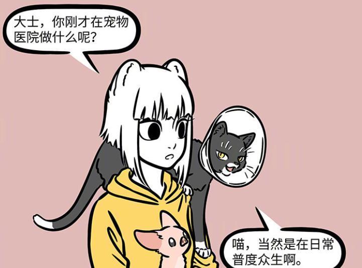 分身|非人哉:九月带着徐哼唧打疫苗,观音再度化身为猫,已被绝育