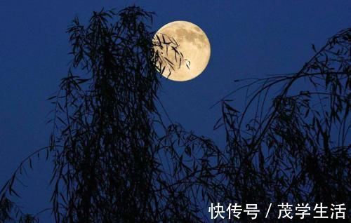 李煜&李煜水平很高的一首词,全文无一“怨”字,却句句有怨意