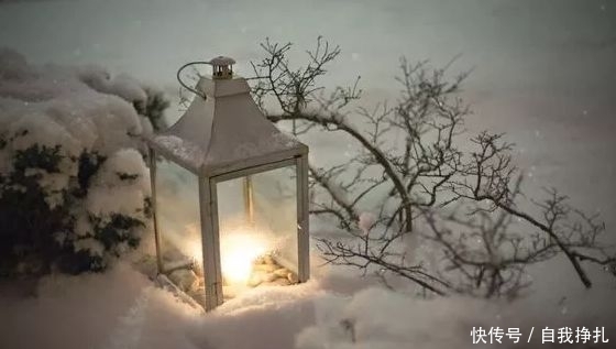 冬季来临 让庭院美丽过冬 快资讯 冬季来临 让庭院美丽过冬 快资讯