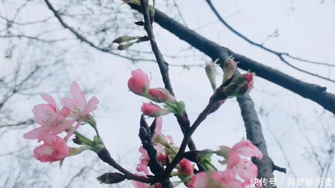 福报|致自己,一直做个有孝心的人,让福报越来越好