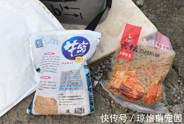 底窝|野钓窝料哪家强?这7款窝料用的人最多,效果好还便宜