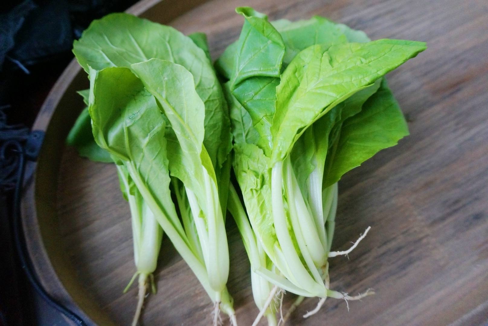 这个菜正便宜,用它包饺子,馅鲜肉香,每周一次吃不够