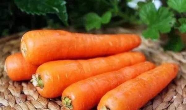 禁忌|常吃胡萝卜身体越来越棒,但吃胡萝卜有4个禁忌,却少有人知道