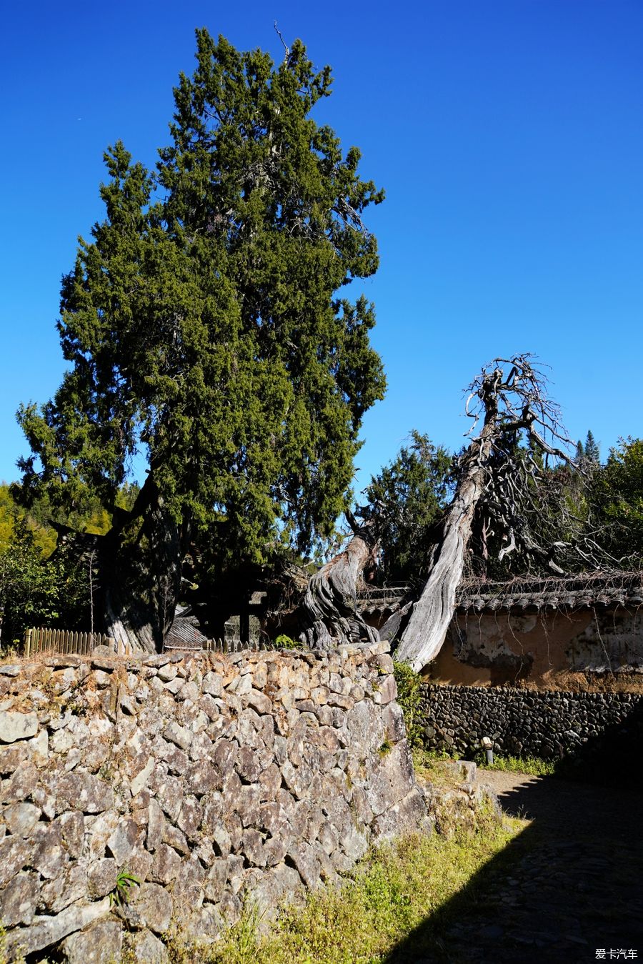 时思寺|浙江行（12）---时思寺