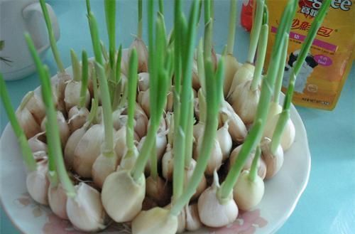 女性不想显老,多吃3种食物,排毒清肠,补水护肤,营养又瘦身!