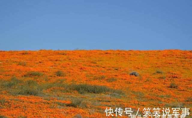 爱人|明日起，桃运回归，前缘未了，爱人归来，余生不弃，良缘再续