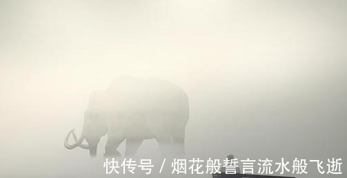 生活环境|到底是夫妻亲,还是兄弟姐妹亲心理学家的答案非常统一