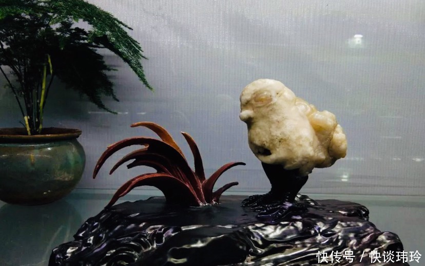 优美|奇石欣赏:围观 精巧别致的珍品奇石 大自然的瑰宝果然奇特优美