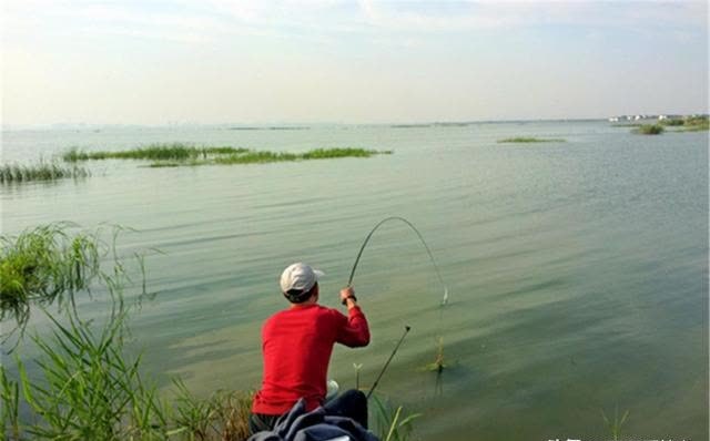 春季浅滩钓大鲫,如何提升中鱼率?选对漂是前提,调漂方法很关键