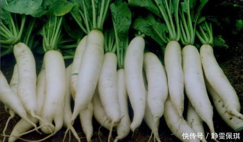 绿茶|便秘让人生不如死?不妨多吃这几种食物,轻松通便无负担