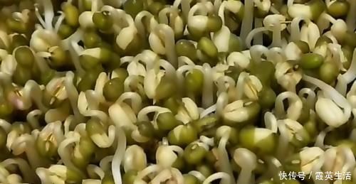 生豆芽|豆芽不用出门买，教你在家发，4天就能吃，又粗又壮好吃更安全