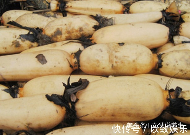 养颜美容|莲藕和一宝搭配吃,养颜美容,好吃还营养,现在知道还不算晚