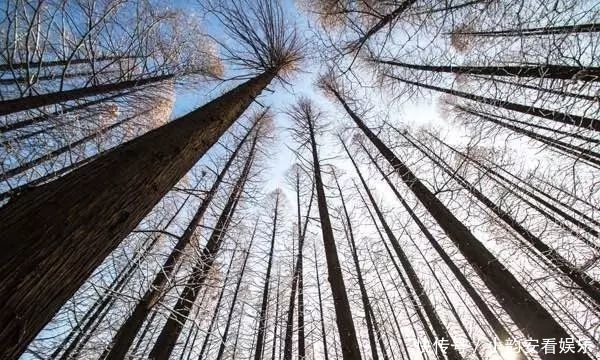 太美|临朐淹子岭的冬天，太美了！