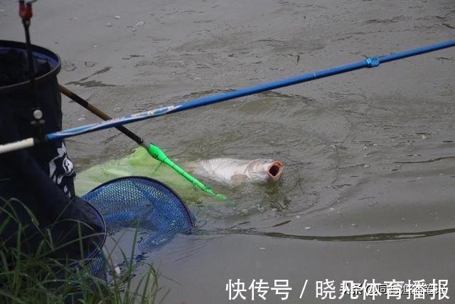 黑坑撒化肥,大多数钓友抱憾而归,唯独他狠狠给老板上了一课