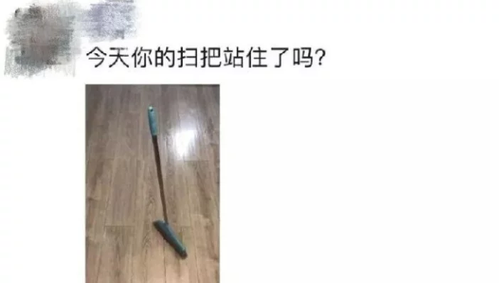 扫把立起来nasa