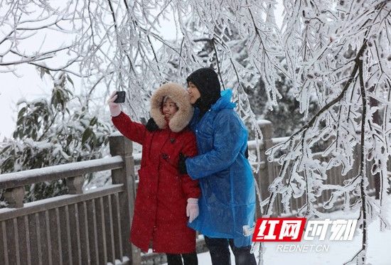 天子山|张家界景区天子山：雨雪迎新春 冰挂晶莹剔透（组图）