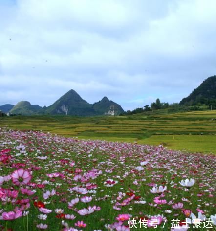 运势|未来30天，4属相运势上涨，贵人相助，财源广进，生活幸福