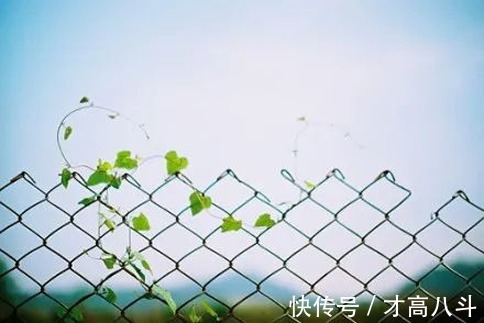 人生$放慢脚步,活好自己!