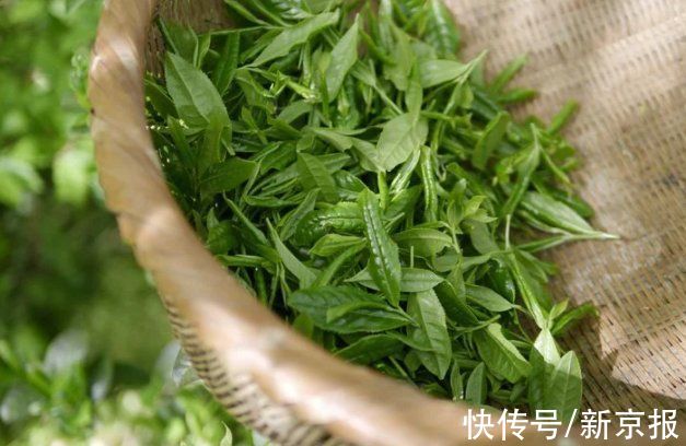 茶文化！跨越时空的茶：文化名片走向世界，为乡村振兴助力