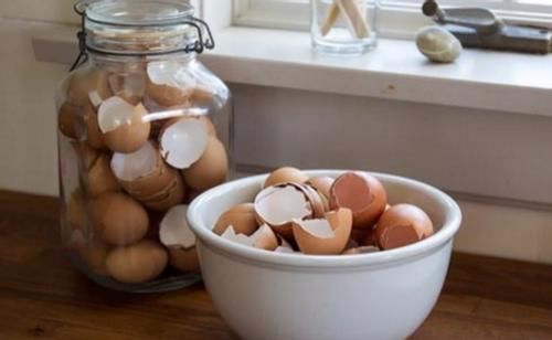 开春养殖花草植物，准备好这3样，就能顾全“花叶根”的需求