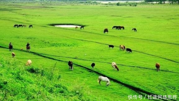 少小离家老大回|古代官员退休后，为何一定要回到故乡？留在就任地方养老不行吗