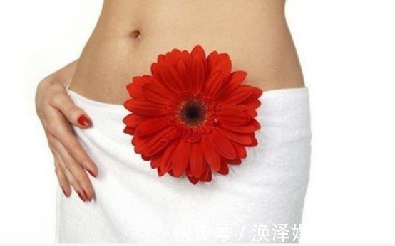 鱼腥草|女性得了宫颈炎,莫慌。马齿苋,蒲公英用来做汤,让你远离疾病