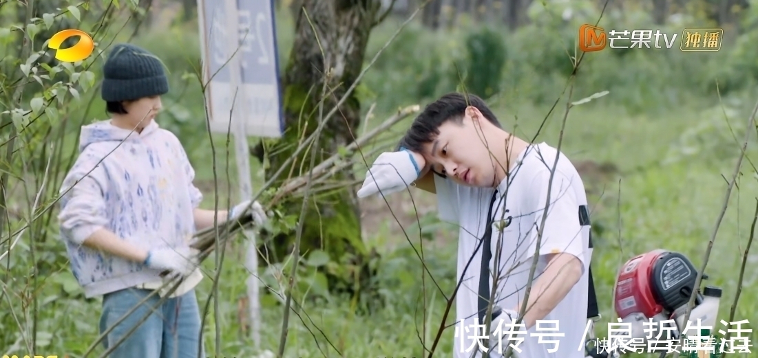 4季最懒客人齐聚《向往5》,黄磊张艺兴各有对策,不愧是狐狸师徒