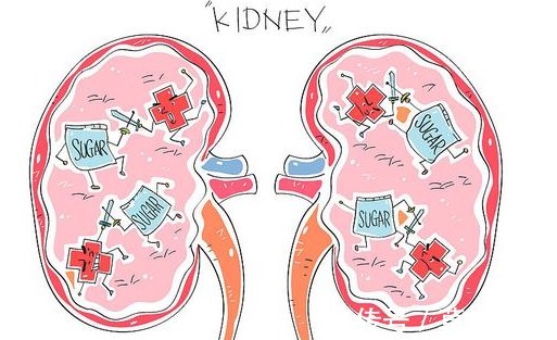 胰岛素|激活胰岛素的冠军,并非鸡蛋,平时多吃点,糖尿病或“躲着走”